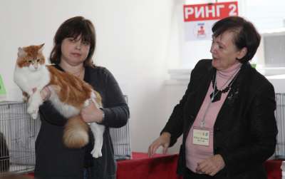 �������� ����� '������� ���-�����' 30 ������-1 ������� 2013., WCF-����� 2644